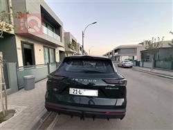 جيتور داشينج